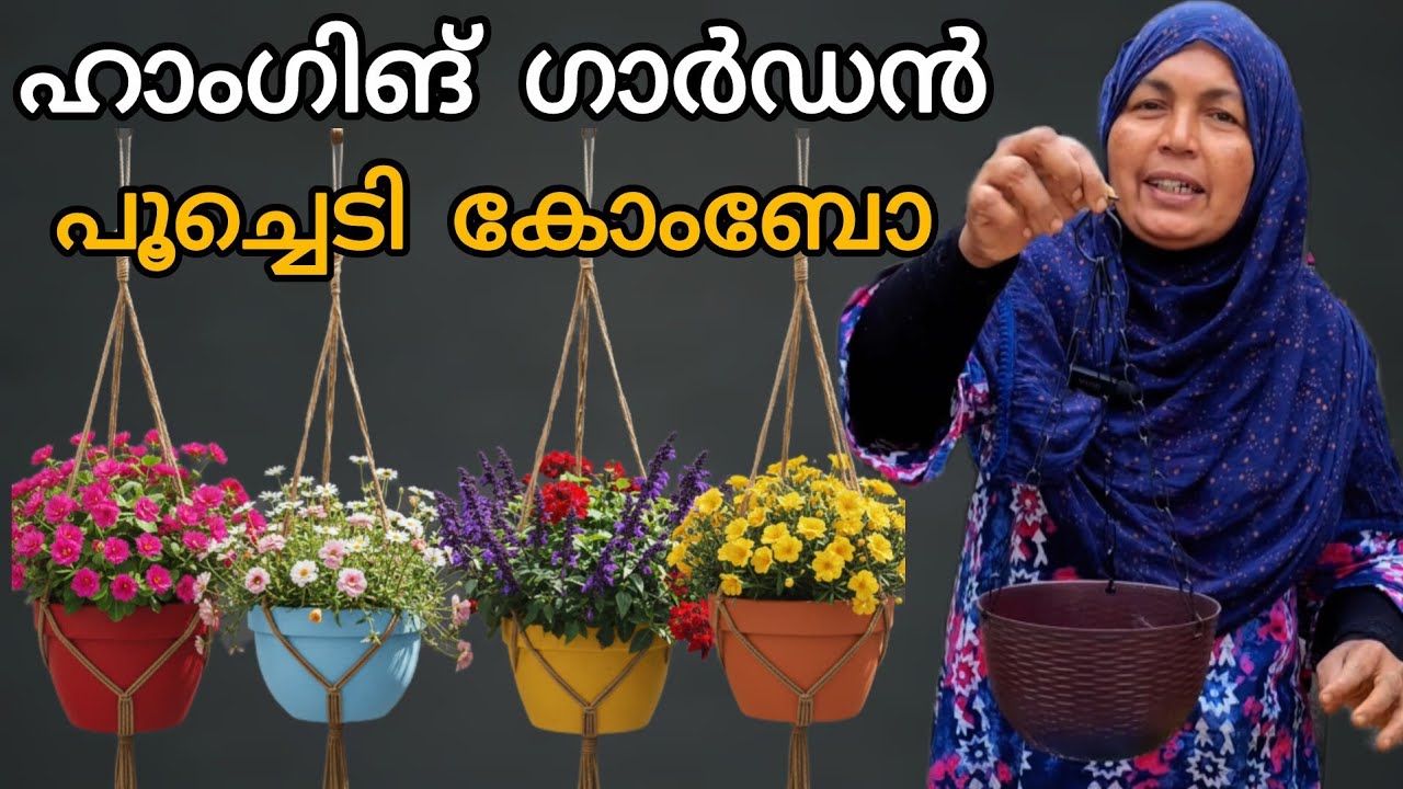🪴 കുറഞ്ഞ ചിലവിൽ നിറയെ പൂക്കൾ! | ഹാങ്ങിംഗ് പോട്ട് കൃഷി എളുപ്പമാണ്