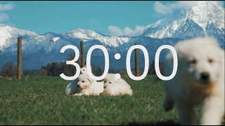 30 Minute Timer with Relaxing Music: Puppy Theme