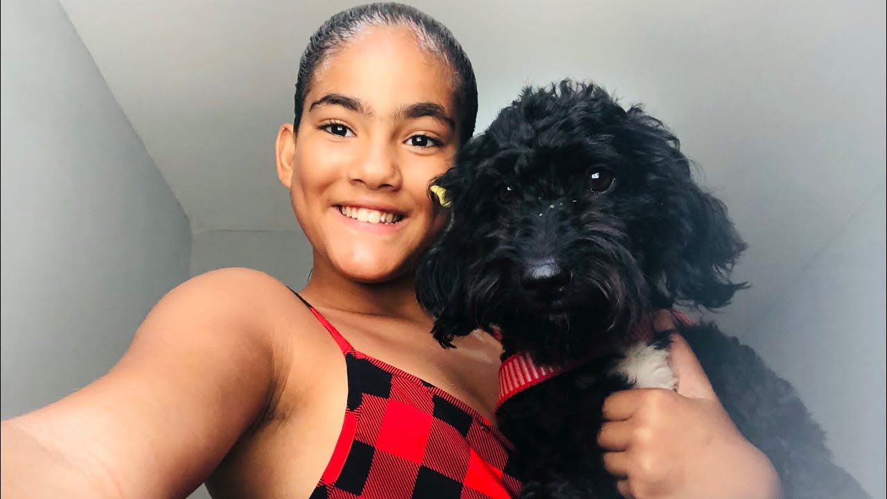 LEVANDO MINHA CACHORRA PRA PASSEAR🐶