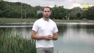 В чому полягає справжня радість? В чому знаходити радість? | Біблія свідчить