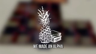 No Pineapple Left Behind - Open Alpha Trailer