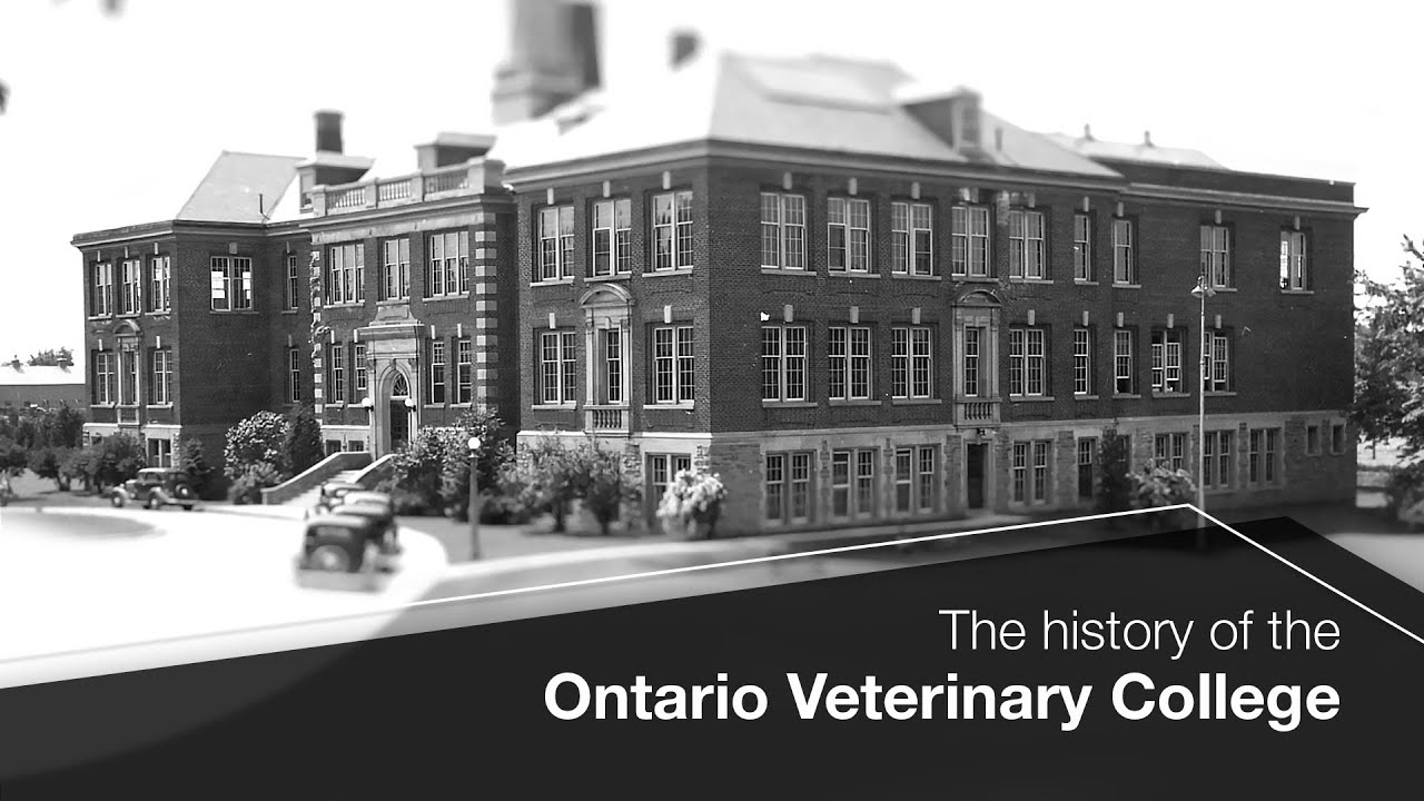 The History of the Ontario Veterinary College