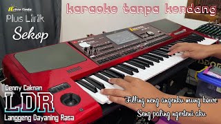 LDR (Denny Caknan) Karaoke Tanpa Kendang plus lirik | sekop2 ah2