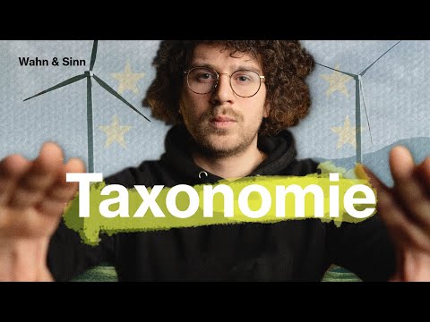 EU-Taxonomie: was ist WIRKLICH das Problem?