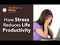 How Stress Impacts Your Life Productivity (Healthytarian Minutes ep. 18)