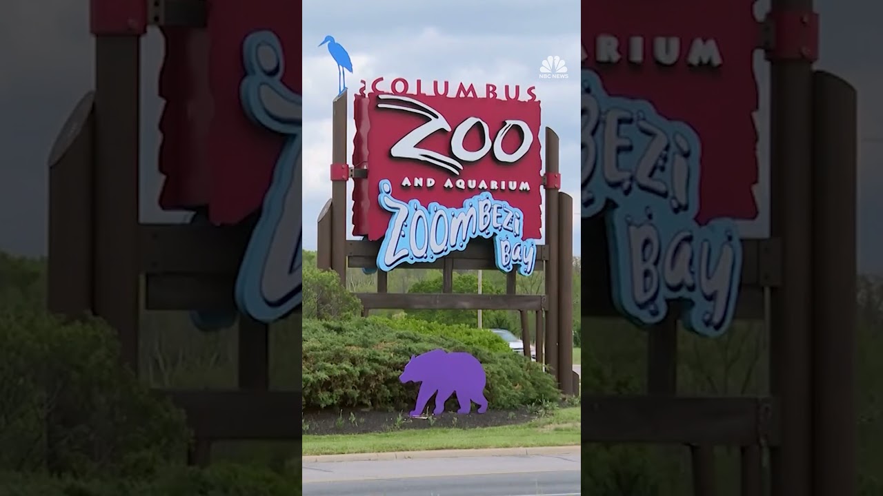 Multiple zoos targeted by swatting and bombs threats
