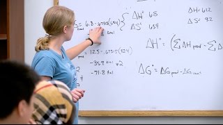 Study What You Love At The University of Rochester