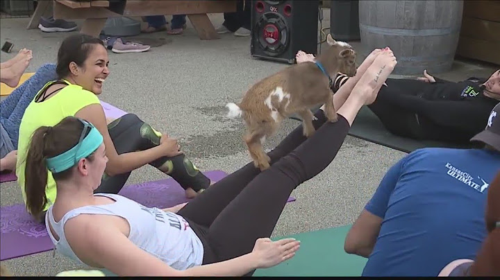 Goats, beer and yoga = good times