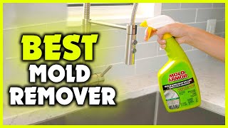 Best Mold Remover 2022 [Top 5 Picks]