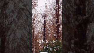 『孤独なヒト』programming by otakyon #music #ambient
