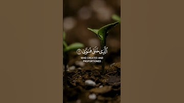 عبدالرحمن مسعد - سورة الاعلى  Abdulrahman Mossad - Surah Al-Ala
