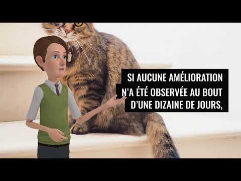 Vidéo: Pourquoi mon chat éternue-t-il?