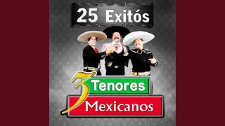 Video thumbnail of "Los Tres Tenores Mexicanos - Nube Viajera"
