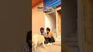 Kelvin Rangbaaz 😂 | Ultra Funny Desi Comedy 2026 5. Aaryan Kelvin 😂 | Bihari Comedy Star | N#comedy
