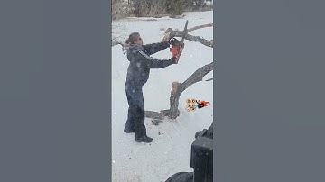 Cutting Firewood in the Snow #shorts