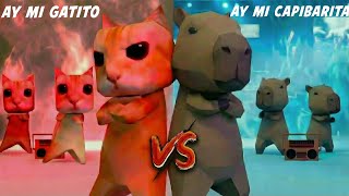 Ay mi Gatito Miau, Miau vs Ay mi Capibarita Cui, Сui