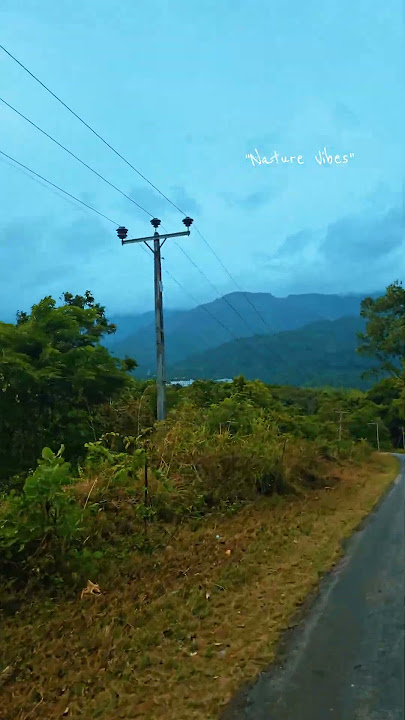 Nature vibe💫💗 #travel #love #s24ultra #nature #susl #sabar #adarakanda #mountain  #travel
