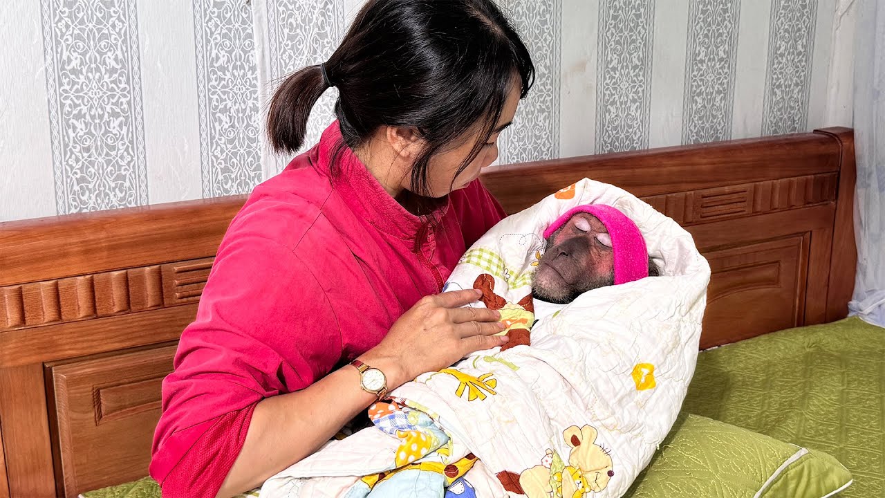 OMG! Abu Got Sick and Lies in Mom's Arms