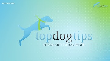 True Review of the Kitty Kick Stix Catnip Kicker