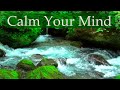 Take a Break 🍃 Relaxing Music and Sounds of Nature Forest to Relieve Anxiety - Wooden Flute