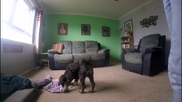 Enrichment - Towel game