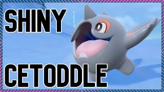 [LIVE] FULL ODDS CETODDLE/CETITAN SHINY!!!!! POKEMON SCARLET/VIOLET