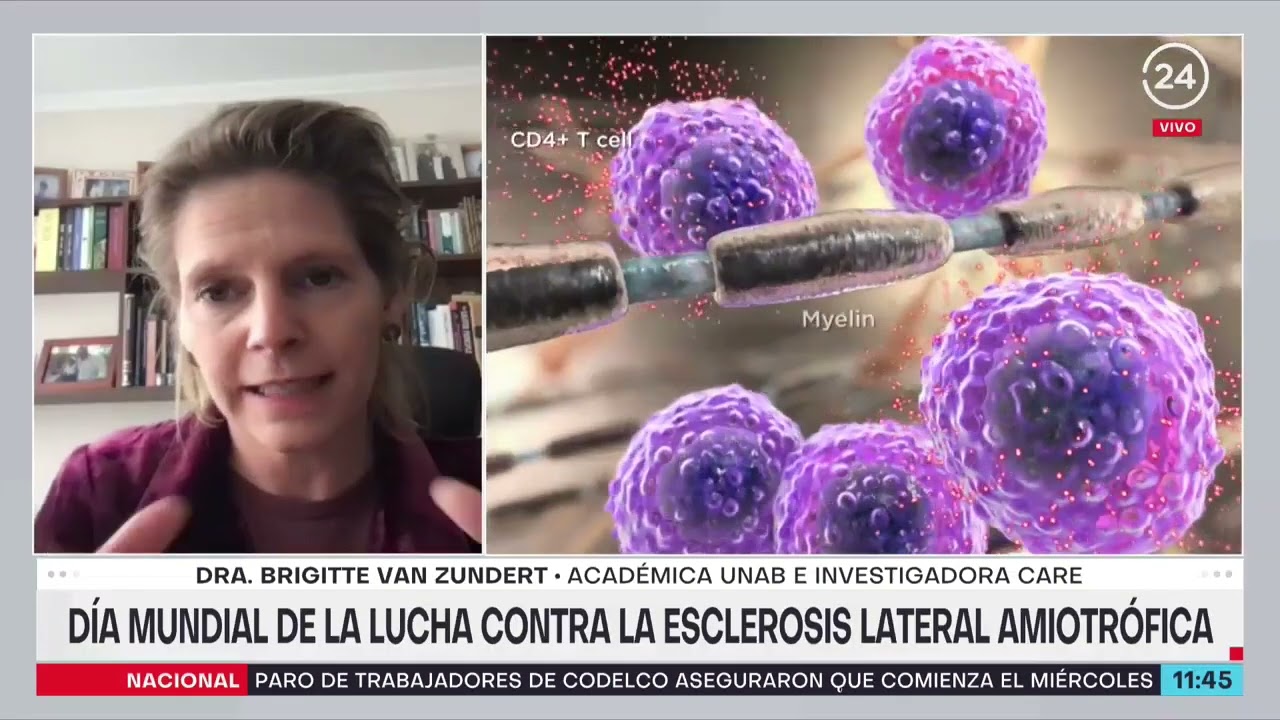 Dra. Brigitte van Zundert sobre el ELA: 