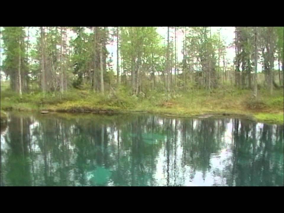 KALLKÄLLA/COLD-WATER SPRING