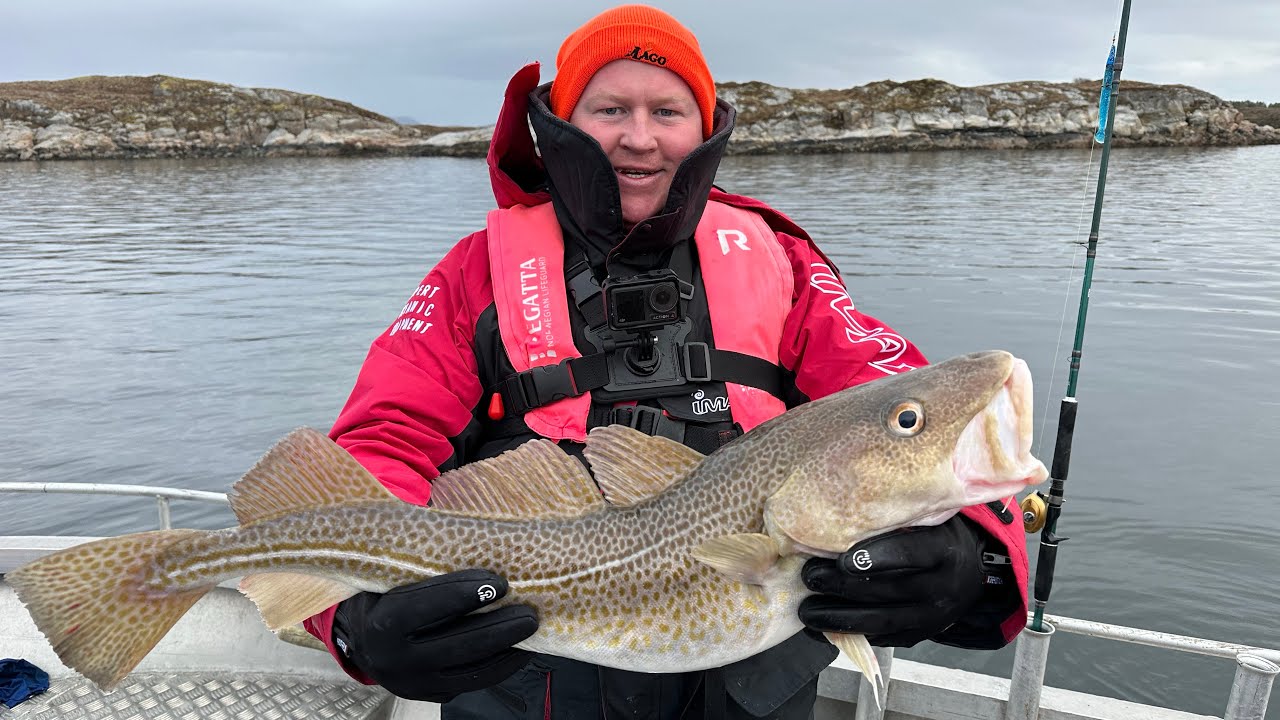 Рыбалка в Норвегии. Первая рекордная треска Abelvaer  МАРТ 2025