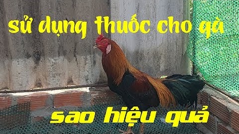 bảo tồn động vật .nên căn nhắc sử dụng thuốc hiện tại cho 🐓🐓🐓 #dammenuoigatv