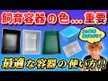 【メダカの飼育容器の色について】容器選びで迷っている方はこれをみれば解決!!５種類の容器の使い分け､特徴を解説！メダカに最適な容器が見つかります！