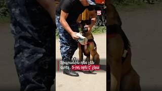 Thumbnail for Մարմարիկում 2-ամյա Տիգրանի որոնման 5-րդ օրն է #Մարմարիկ #5tv