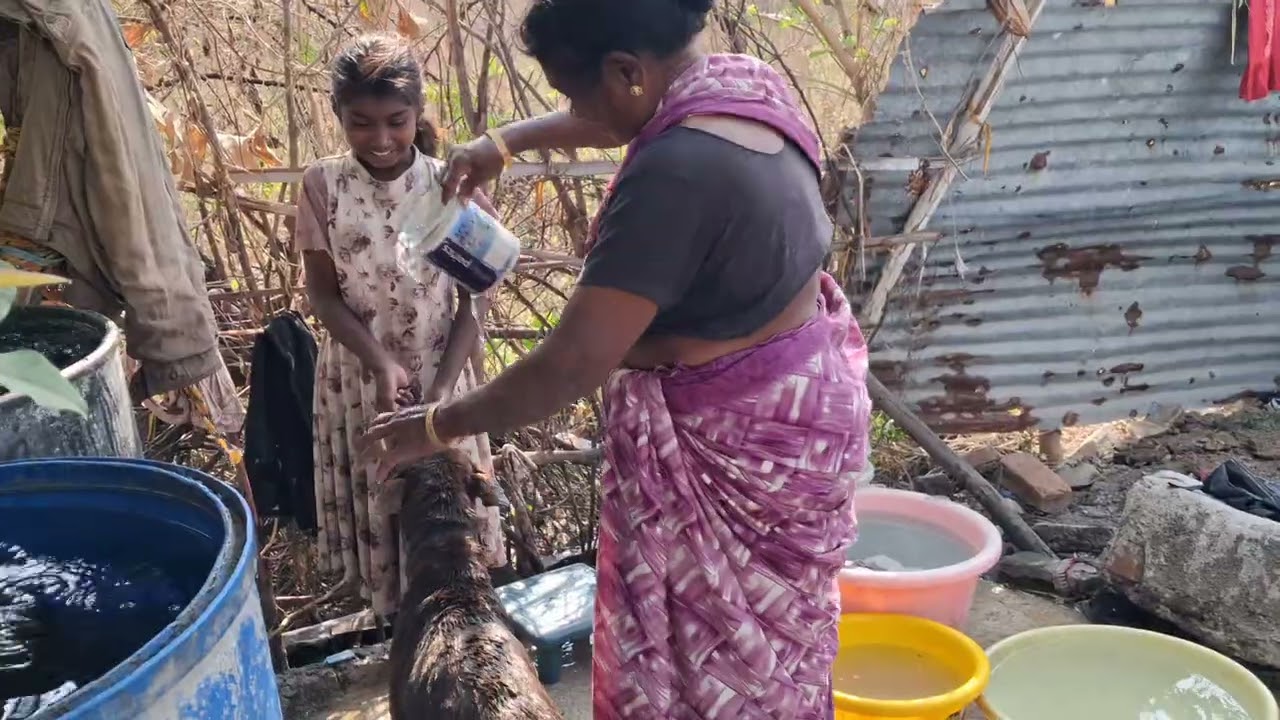 Aaj jagira ko nani ne kya Kar diya 