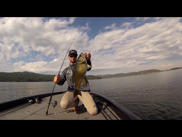 Alpha Angler - Bass Fishing Rods - Roots 