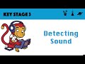 Understanding Sound and Hearing