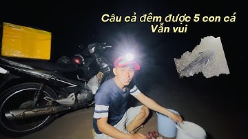 Cấu cá đục đêm khuya được giao lưu với bầy muỗi đói@Longvlog86