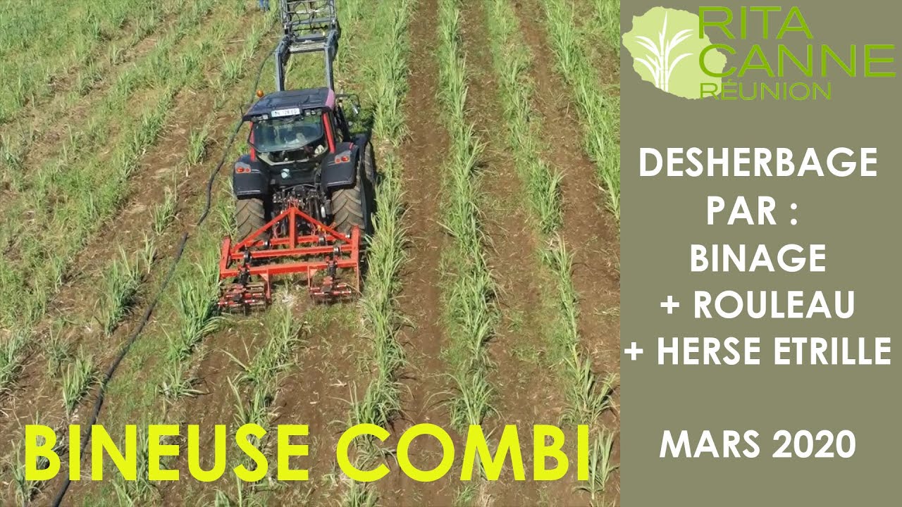 Désherbage de la canne à sucre : bineuse /butteuse / herse étrille