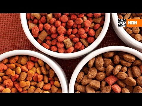 СКОЛЬКО ПЛЕСЕНИ НАШЛИ В КОРМАХ ДЛЯ ЖИВОТНЫХ? НашПотребНадзор