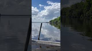 1469 CR 309 view from dock 1469 CR 309 view from dock