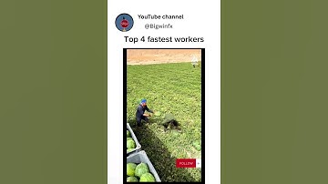 Fastest workers. #workers #fast #fastestworkers #smartwork #hardwork #mindblowing #how #wow #amazing