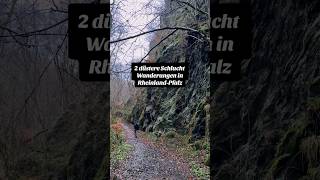 2 düstere Schlucht Wanderungen in Rheinland-Pfalz #schöneorte #rheinlandpfalz #reisetipps #shorts