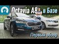 Базовая Octavia A8: ЧТО ВНУТРИ?!  Новая Skoda Octavia A8 2020