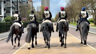JAW-DROPPING FIRST LOOK AT HOUSEHOLD CAVALRY IN SUMMER UNIFORM 2024