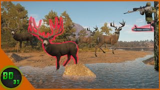 We Took Down 15 Bucks from a Single Tree Stand! Call Of The Wild