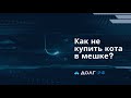 Как не купить кота в мешке? Разбор кейсов покупки дебиторской задолженности!