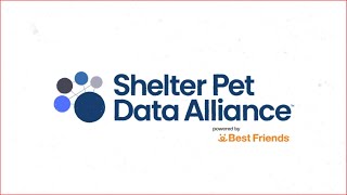 Navigating the Shelter Pet Data Alliance website