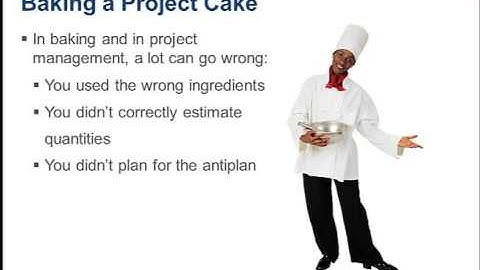 Deltek -  Scheduling for Dummies