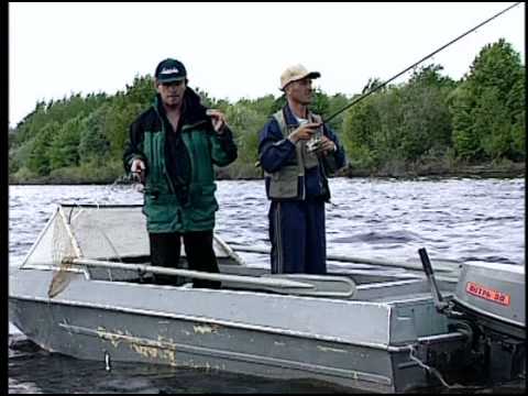 диалоги о рыбалке ловля окуня на спиннинг
