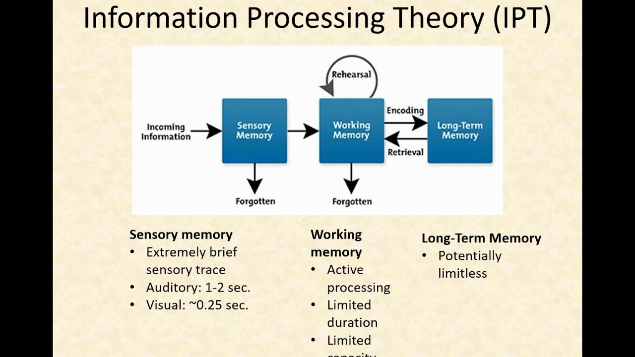 Memory lecture - YouTube