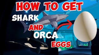 HOW TO GET SHARK AND ORCA EGGS IN FISHING SIMULATOR 🎣 !!